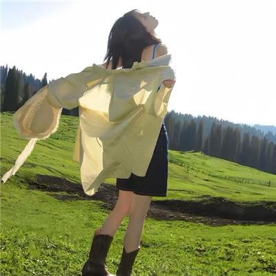 异域雄鹰