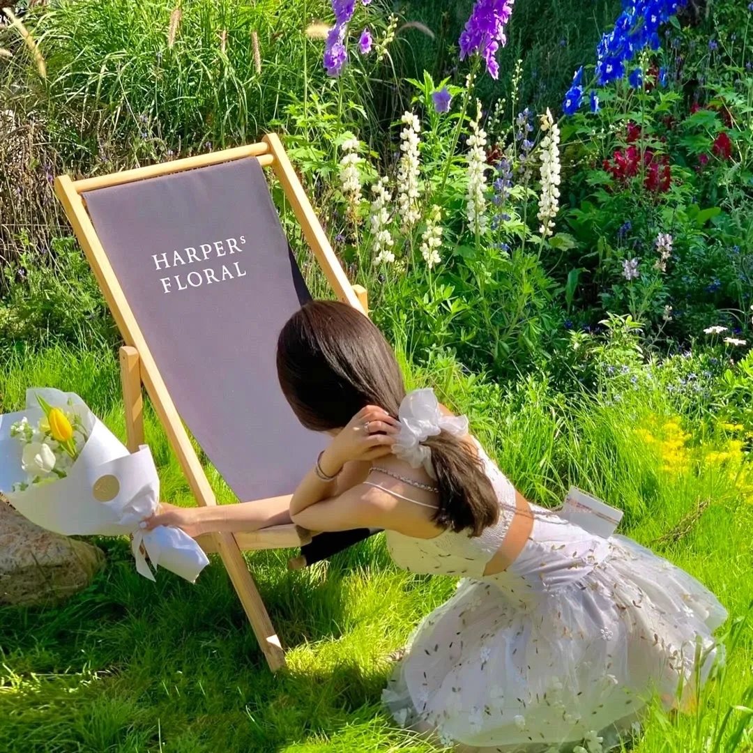 我家夫人超闪耀