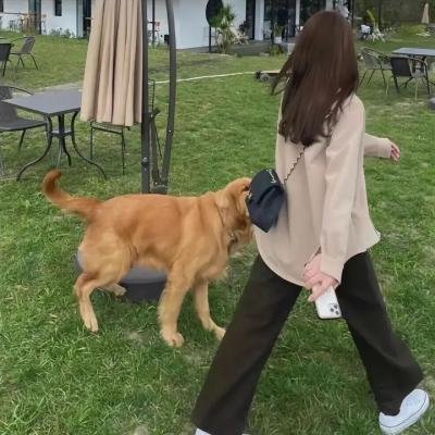 强者风范